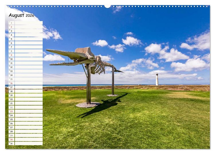 Produktbild: FUERTEVENTURA Geburtstagskalender mit Planerfunktion (Wandkalender 2026 DIN A2 quer), CALVENDO Monatskalender