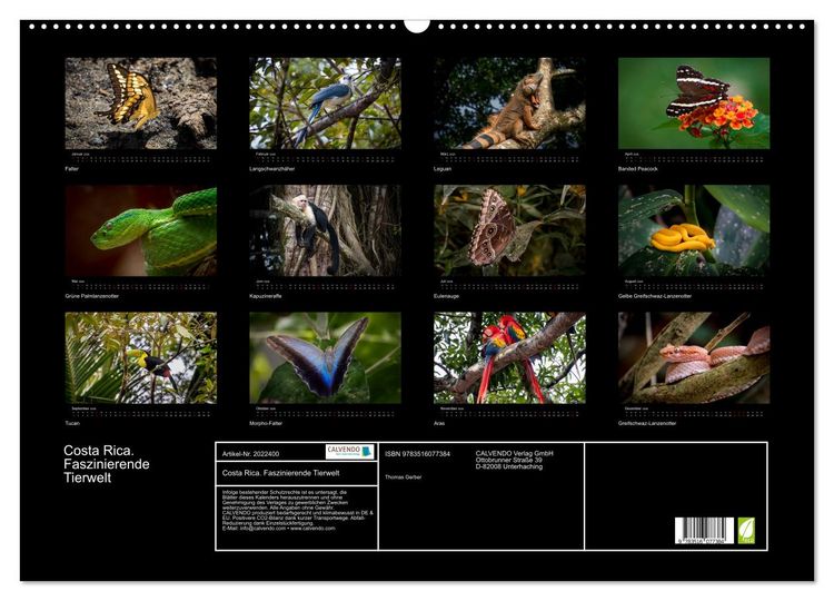 Produktbild: Costa Rica. Faszinierende Tierwelt (Wandkalender 2026 DIN A2 quer), CALVENDO Monatskalender