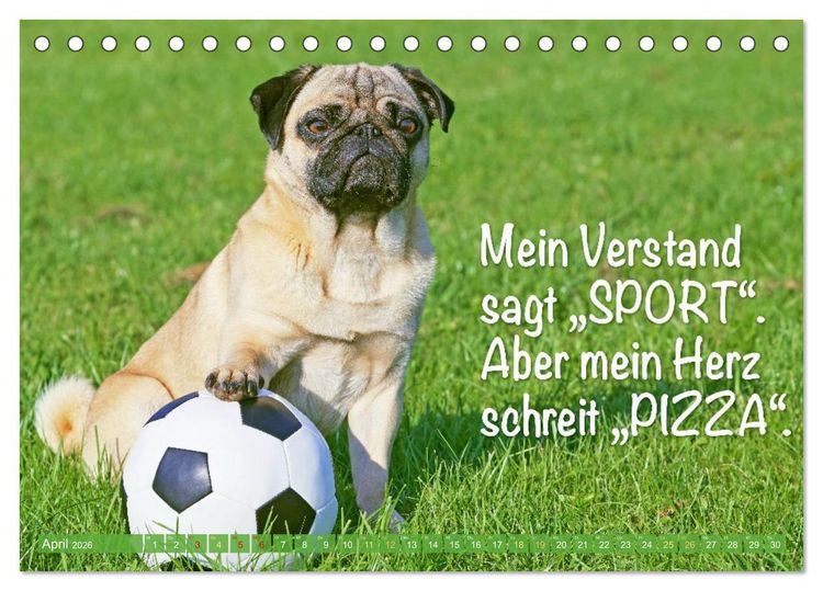 Produktbild: Mopsala: Vom Gl&uuml;ck, ein Mops zu sein (Tischkalender 2026 DIN A5 quer), CALVENDO Monatskalender