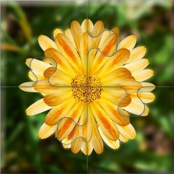 Produktbild: Das "Gelingt-immer"-Puzzle Wiesenblumen. Das Puzzle-Spiel f&uuml;r Senioren mit Demenz