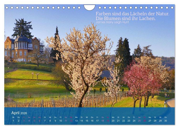 Produktbild: FASZINATION MANDELBL&Uuml;TE (Wandkalender 2026 DIN A4 quer), CALVENDO Monatskalender