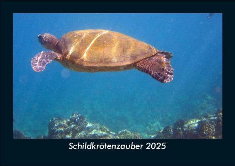 Produktbild: Schildkr&ouml;tenzauber 2025 Fotokalender DIN A5