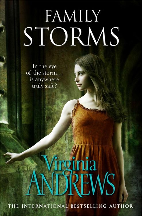 Produktbild: Family Storms