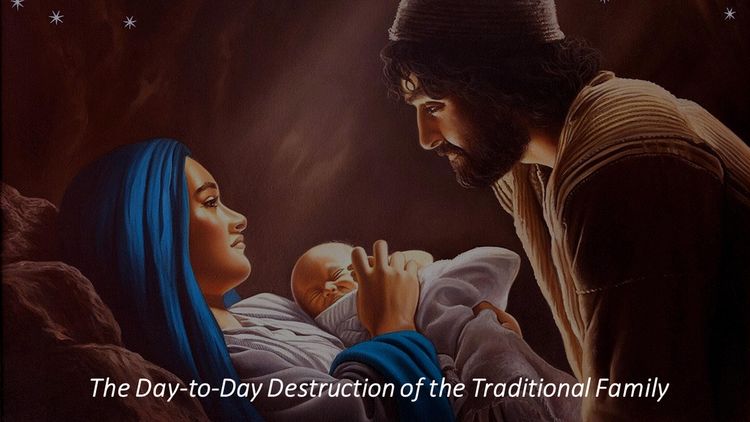 Produktbild: The Day-to-Day Destruction of the Traditional Family
