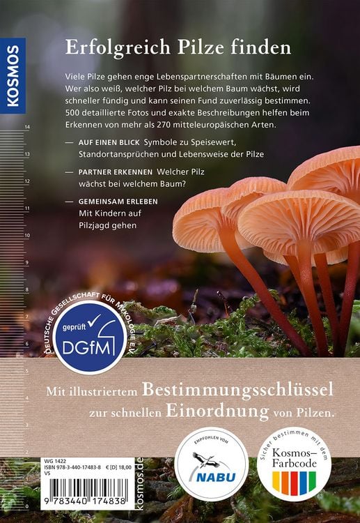 Produktbild: Welcher Pilz ist das?