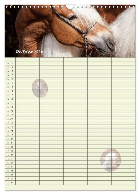 Produktbild: Haflinger Pferde - Stall- und Familienplaner 2026 (Wandkalender 2026 DIN A3 hoch), CALVENDO Monatskalender