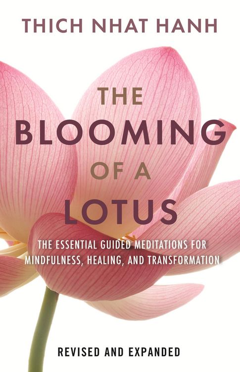 Produktbild: The Blooming of a Lotus