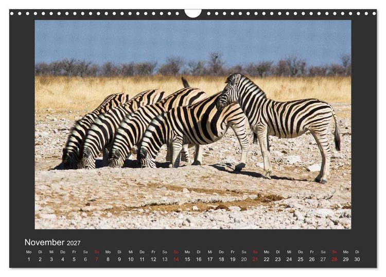 Produktbild: Facetten Namibias (Wandkalender 2027 DIN A3 quer), CALVENDO Monatskalender