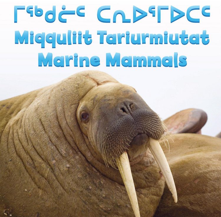 Produktbild: Marine Mammals Bilingual/e