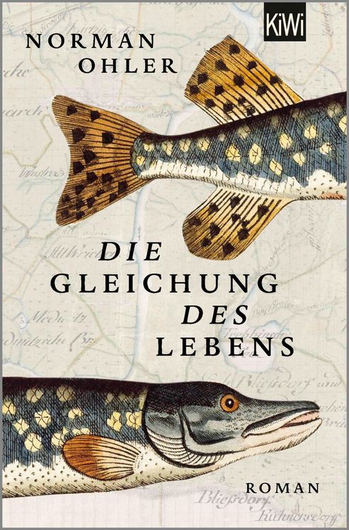 Produktbild: Die Gleichung des Lebens