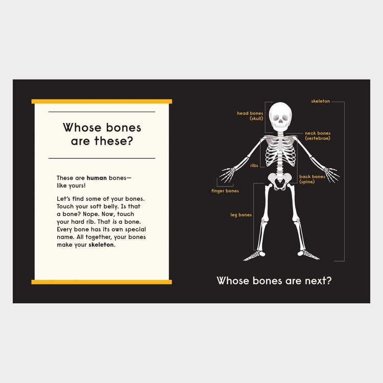 Produktbild: Whose Bones?