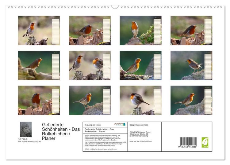 Produktbild: Gefiederte Sch&ouml;nheiten - Das Rotkehlchen / Planer (hochwertiger Premium Wandkalender 2026 DIN A2 quer), Kunstdruck in Hochglanz
