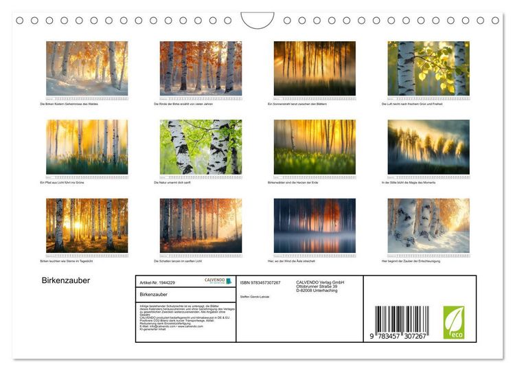 Produktbild: Birkenzauber (Wandkalender 2026 DIN A4 quer), CALVENDO Monatskalender