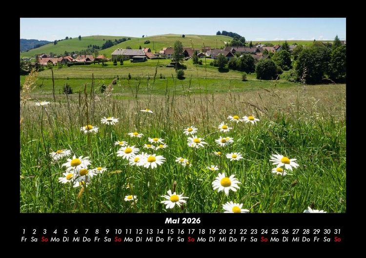Produktbild: Blumentr&auml;ume 2026 Fotokalender DIN A3