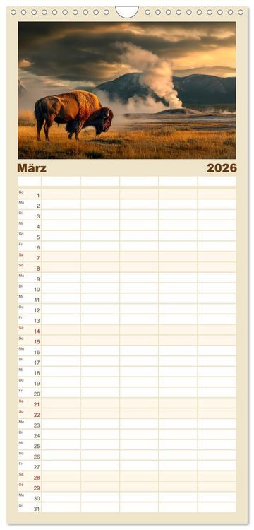 Produktbild: Familienplaner 2026 - B&uuml;ffel - Ikonen der Wildnis mit 5 Spalten (Wandkalender, 21 x 45 cm) CALVENDO