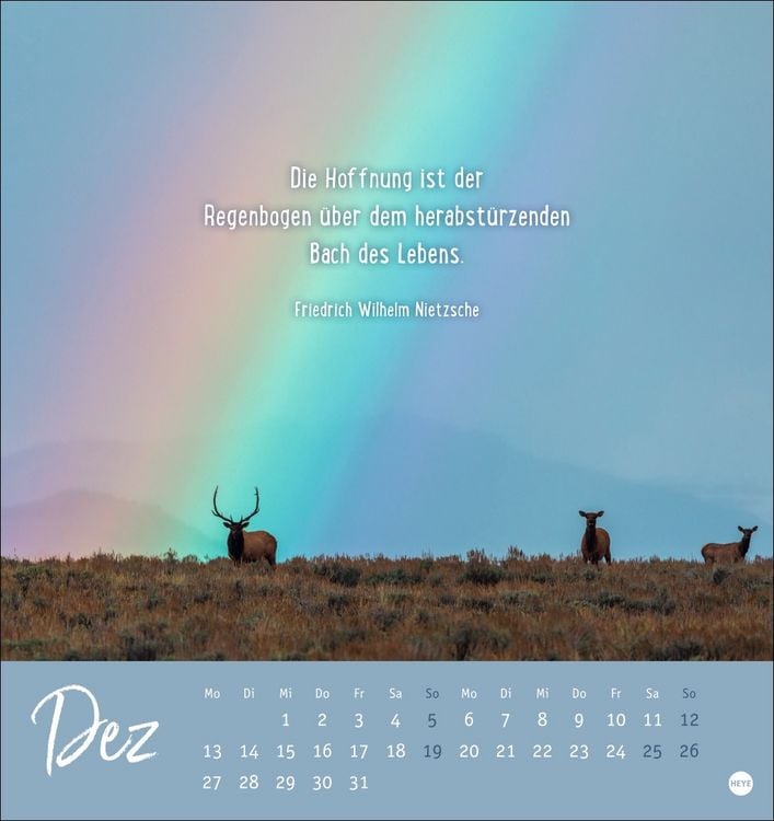 Produktbild: Never give up! Postkartenkalender 2027 - Durchhalten. Denn alles wird gut.