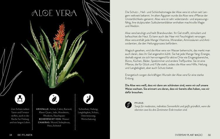 Produktbild: Everyday Plant Magic