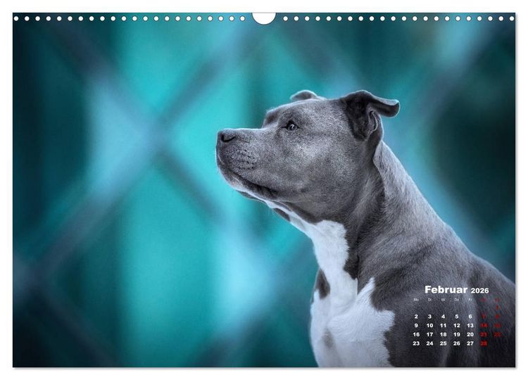 Produktbild: Listenhunde - mehr als nur eine Kategorie (Wandkalender 2026 DIN A3 quer), CALVENDO Monatskalender