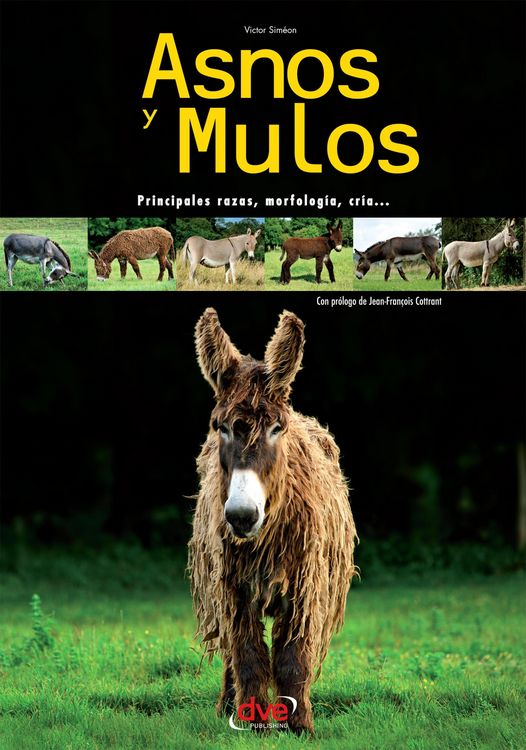 Produktbild: Asnos y mulos