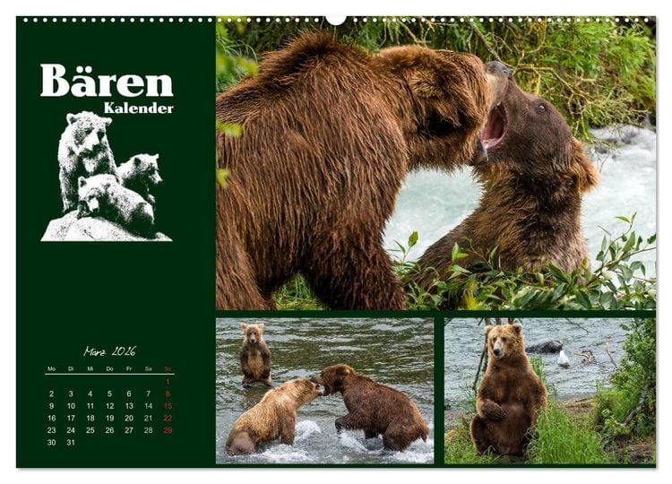 Produktbild: B&auml;renkalender (hochwertiger Premium Wandkalender 2026 DIN A2 quer), Kunstdruck in Hochglanz