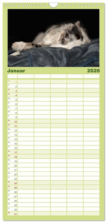 Produktbild: Familienplaner 2026 - Border Collies mit 5 Spalten (Wandkalender, 21 x 45 cm) CALVENDO