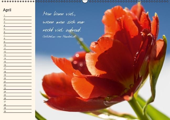 Produktbild: Blumengartenjahr - Geburtstagskalender mit sch&ouml;nen Zitaten (Wandkalender immerw&auml;hrend DIN A2 quer)