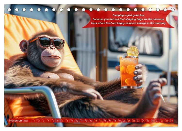 Produktbild: Funny charming animals as campers (Desk Calendar 2026 DIN A5 landscape), CALVENDO 12 Month DeskCalendar