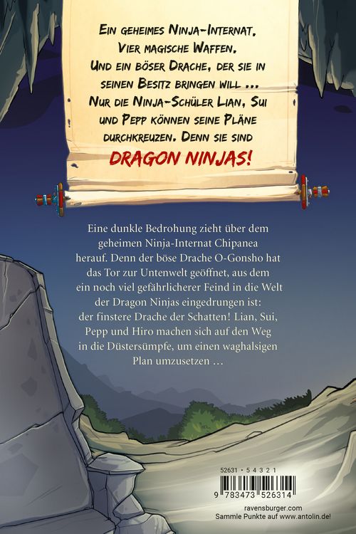 Produktbild: Dragon Ninjas, Band 5 - Der Drache der Schatten