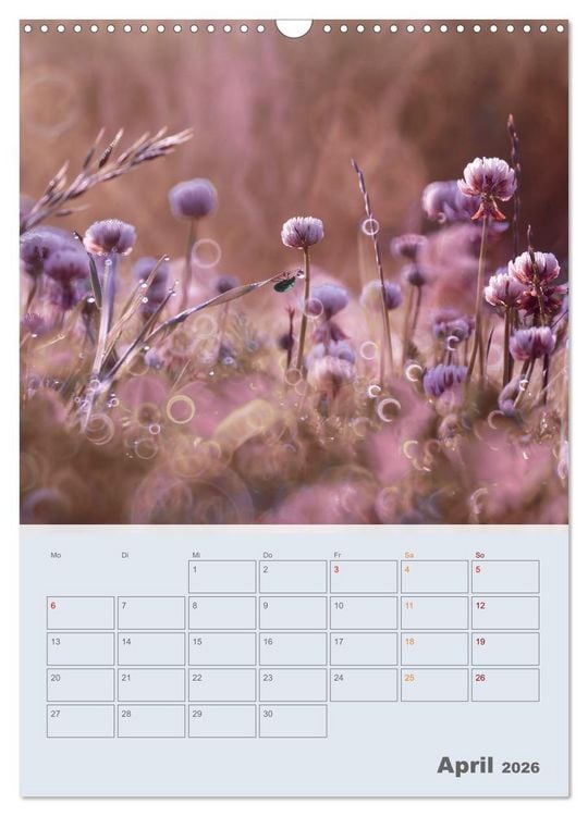 Produktbild: Magie im Garten (Wandkalender 2026 DIN A3 hoch), CALVENDO Monatskalender