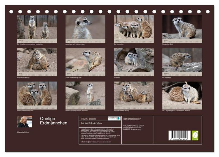 Produktbild: Quirlige Erdm&auml;nnchen (Tischkalender 2027 DIN A5 quer), CALVENDO Monatskalender
