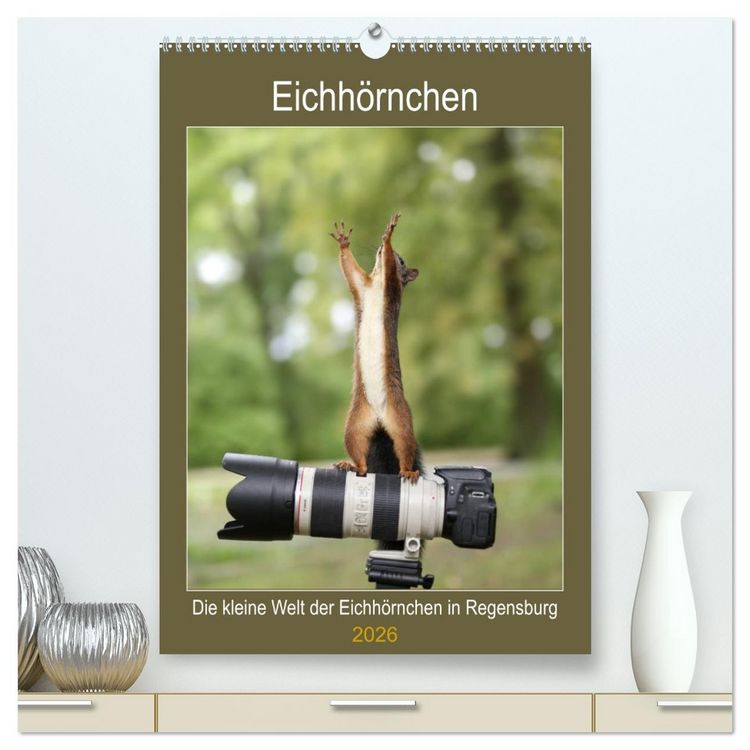 Produktbild: Die kleine Welt der Eichh&ouml;rnchen in Regensburg (hochwertiger Premium Wandkalender 2026 DIN A2 hoch), Kunstdruck in Hochglanz