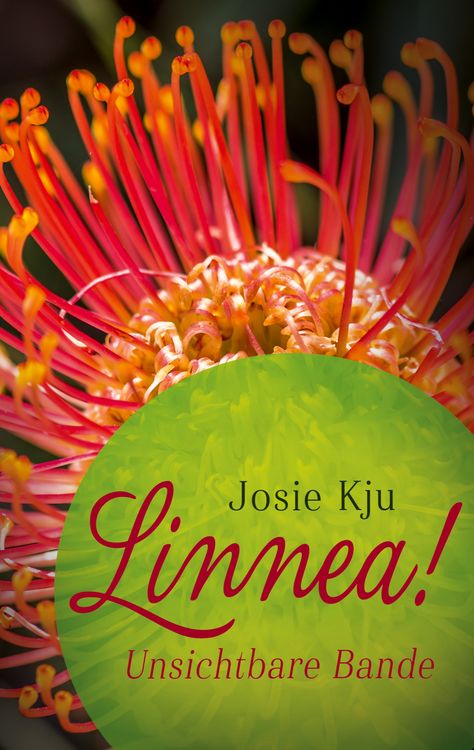 Produktbild: Linnea! Unsichtbare Bande