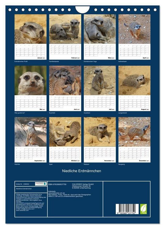 Produktbild: Niedliche Erdm&auml;nnchen (Wandkalender 2027 DIN A4 hoch), CALVENDO Monatskalender