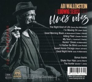 Produktbild: Blues Vibes