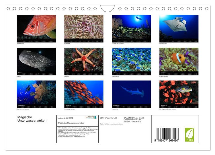 Produktbild: Magische Unterwasserwelten (Wandkalender 2026 DIN A4 quer), CALVENDO Monatskalender