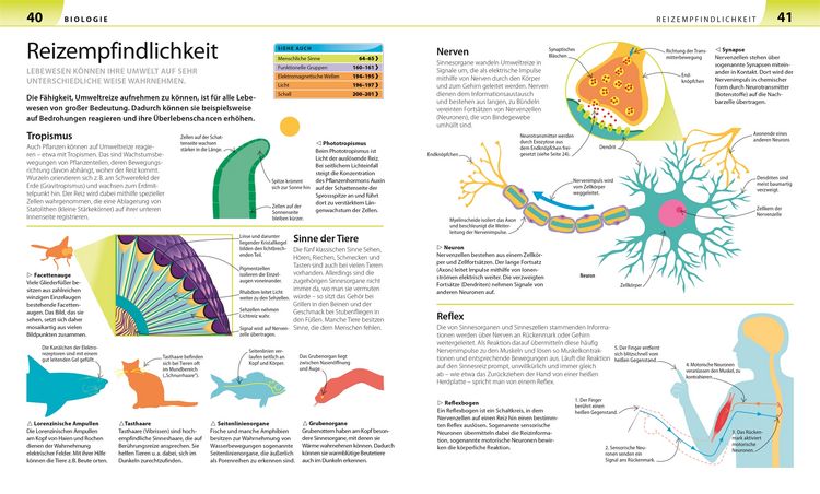 Produktbild: Biologie, Chemie, Physik f&uuml;r Eltern