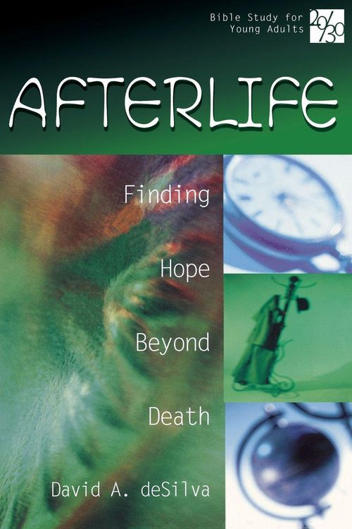 Produktbild: 20/30 Bible Study for Young Adults Afterlife