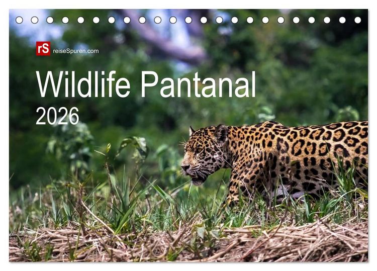 Produktbild: Wildlife Pantanal 2026 (Tischkalender 2026 DIN A5 quer), CALVENDO Monatskalender