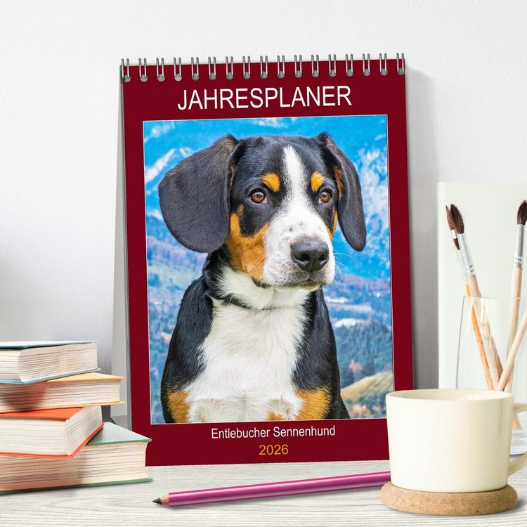 Produktbild: Jahresplaner Entlebucher Sennenhund (Tischkalender 2026 DIN A5 hoch), CALVENDO Monatskalender