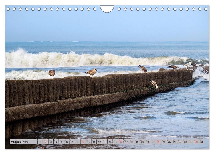 Produktbild: Norderney Spaziergang (Wandkalender 2026 DIN A4 quer), CALVENDO Monatskalender