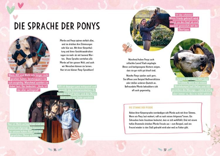 Produktbild: # ponylife &ndash; Mein Pferde-Mitmach-Journal von den Social-Media-Stars Lia und Lea