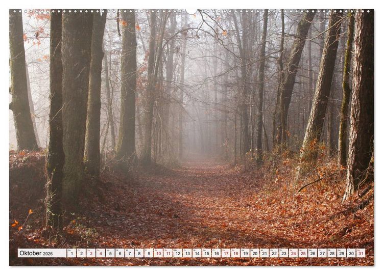 Produktbild: G&ouml;ttererwachen. Die Natur im mystischen Nebel (Wandkalender 2026 DIN A2 quer), CALVENDO Monatskalender