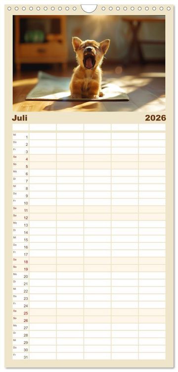 Produktbild: Familienplaner 2026 - Ansteckend m&uuml;de! mit 5 Spalten (Wandkalender, 21 x 45 cm) CALVENDO