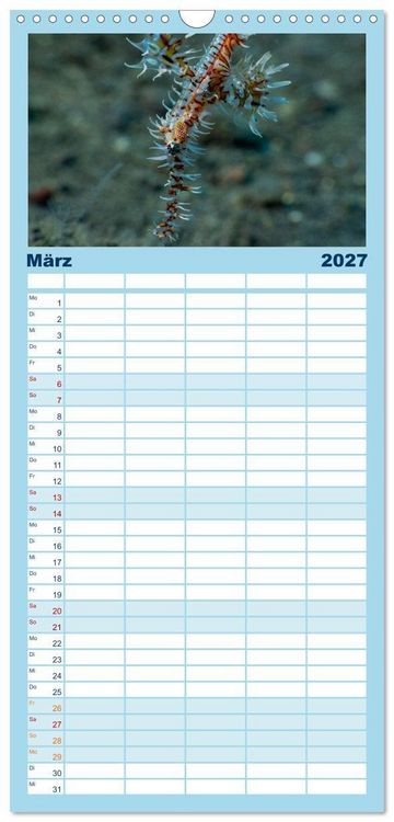 Produktbild: Familienplaner 2027 - Faszination blaue Unterwasserwelt mit 5 Spalten (Wandkalender, 21 x 45 cm) CALVENDO