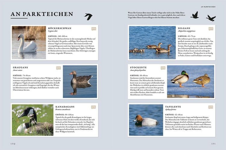 Produktbild: Das Buch der Gartenv&ouml;gel