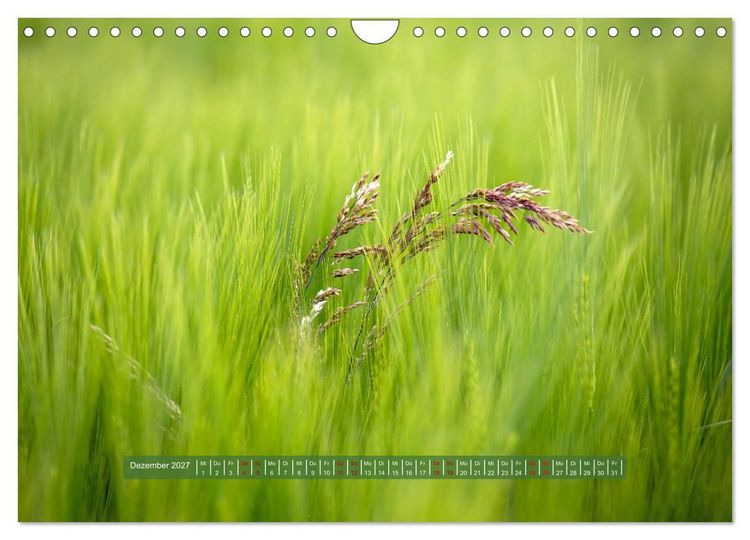 Produktbild: Feldansichten (Wandkalender 2027 DIN A4 quer), CALVENDO Monatskalender