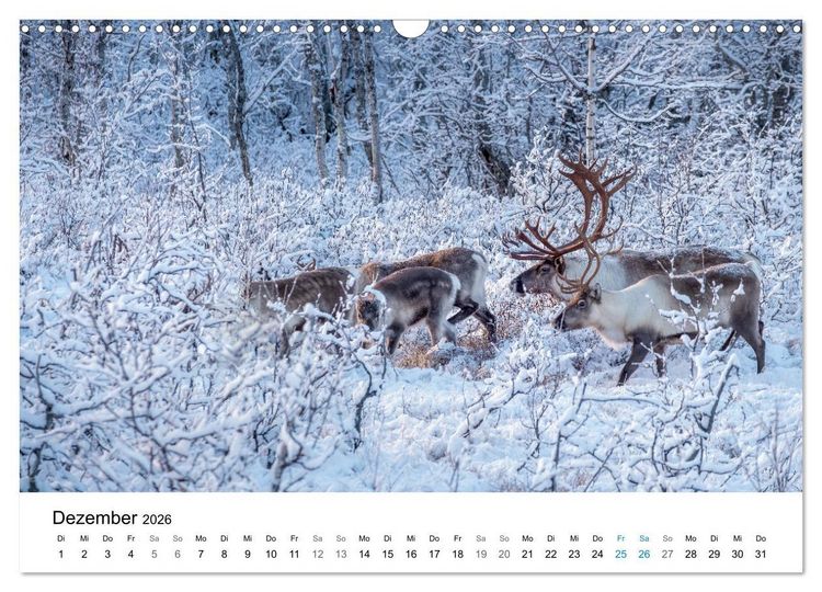 Produktbild: NORWEGEN - EINE ATEMBERAUBENDE SCH&Ouml;NHEIT (Wandkalender 2026 DIN A3 quer), CALVENDO Monatskalender