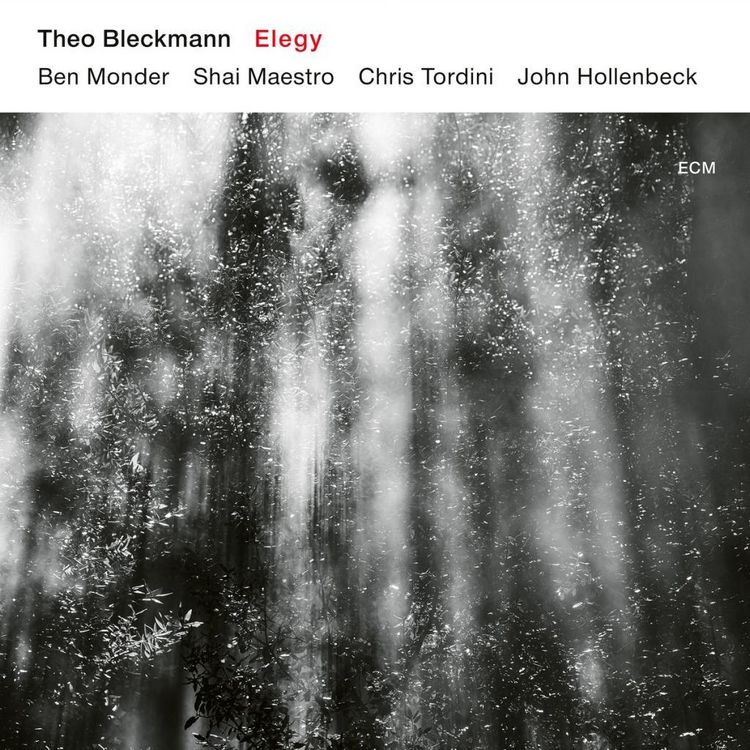 Produktbild: Elegy