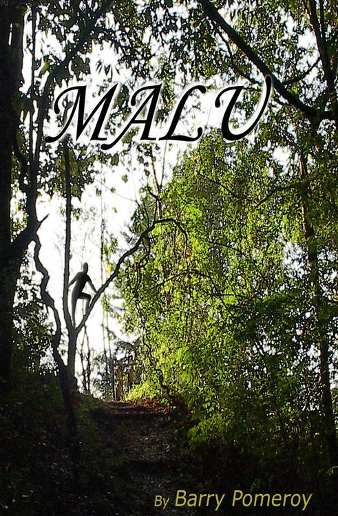 Produktbild: Malu, a Novel