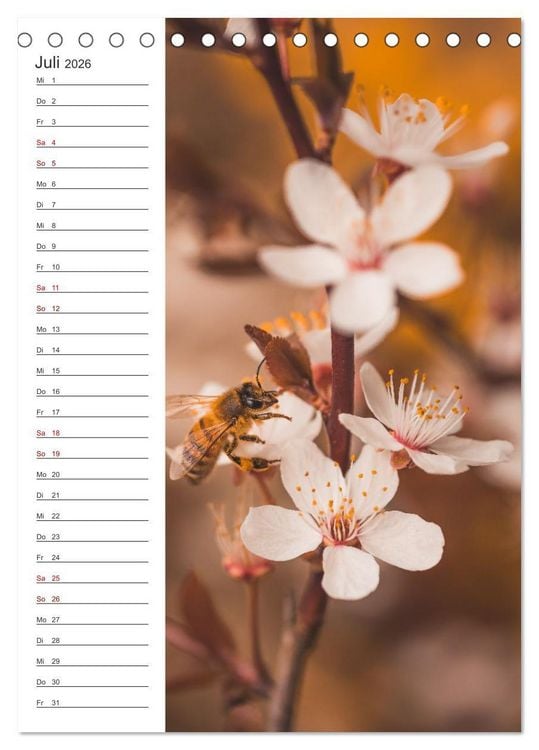 Produktbild: Naturheilmittel Honig - Kalender & Terminplaner (Tischkalender 2026 DIN A5 hoch), CALVENDO Monatskalender
